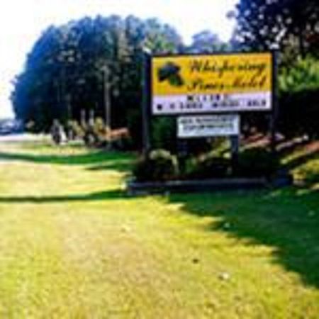 The Whispering Pines Motel- WhitestoneWhite Stone エクステリア 写真